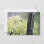 Fencepost, Stacheldraht Rustikale uAwg mit Umschla RSVP Karte (Rückseite)