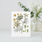 Fenchel Postkarte (Stehend Vorderseite)