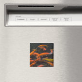 Feng Shui glauben, koi Fische bringen viel Glück. Magnet (In Situ (Geschirrspüler))