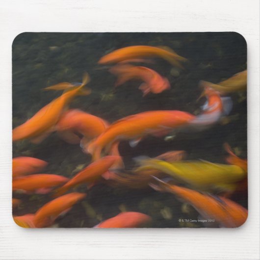 Feng Shui glauben, koi Fische bringen viel Glück. Mousepad (Vorne)