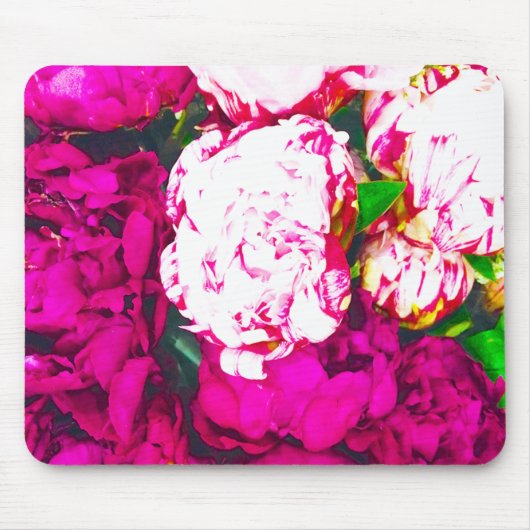 Feng Shui Harmonie | mousepad 2015 (Vorne)