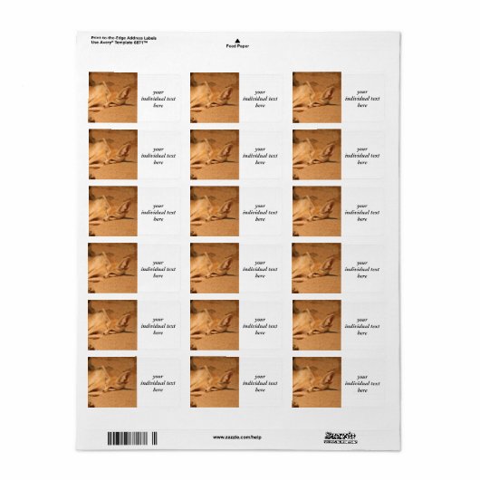 Fennec Fox Adressaufkleber (Vorne)