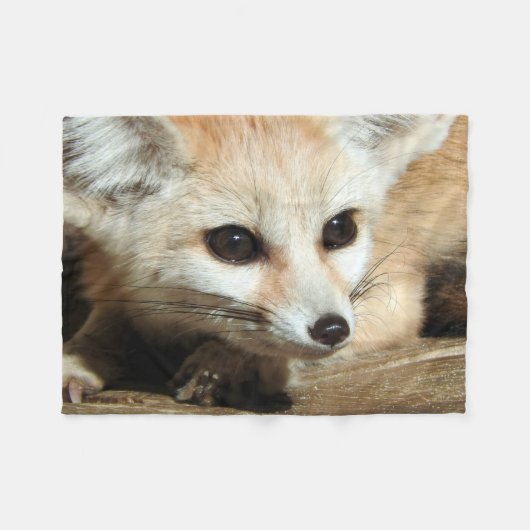 Fennec Fox Fleecedecke (Vorderseite (Horizontal))