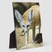 Fennec fox fotoplatte (Seite)