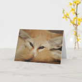 Fennec Fox Greeting Card Karte (Gelbe Blume)
