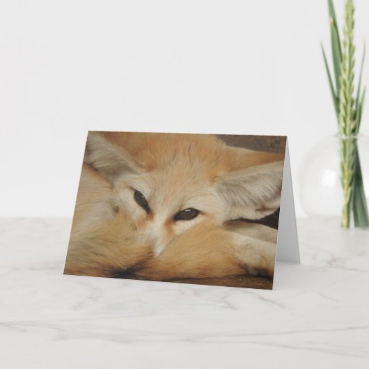 Fennec Fox Greeting Card Karte (Vorderseite)