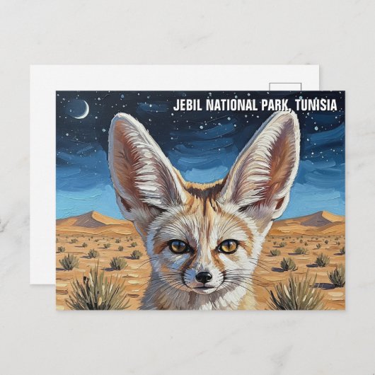 Fennec Fox im Jebil-Nationalpark Tunesien Postkarte (Vorne/Hinten)