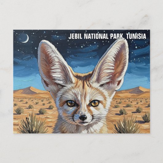 Fennec Fox im Jebil-Nationalpark Tunesien Postkarte (Vorderseite)
