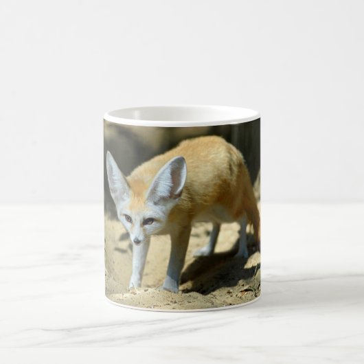 Fennec fox kaffeetasse (Mittel)