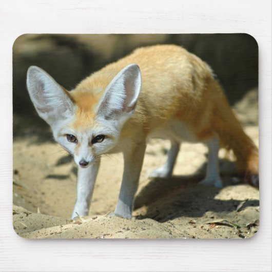 Fennec fox mousepad (Vorne)