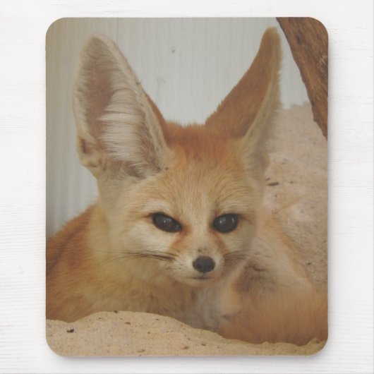 Fennec Fox Mousepad (Vorne)