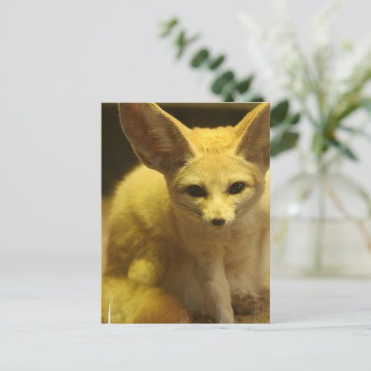 Fennec Fox Postcard Postkarte (Stehend Vorderseite)
