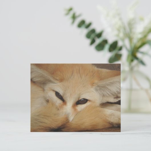 Fennec Fox Postcard Postkarte (Stehend Vorderseite)