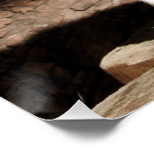 Fennec Fox Poster (Ecke)