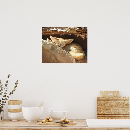 Fennec Fox Poster (Küche)