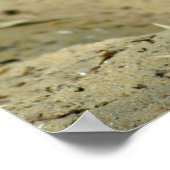 Fennec fox poster (Ecke)