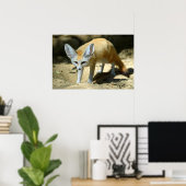 Fennec fox poster (Heimbüro)
