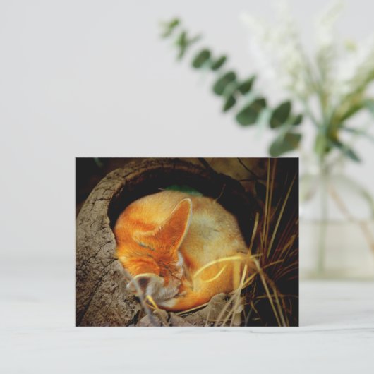 Fennec Fox Postkarte (Stehend Vorderseite)