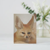 Fennec Fox Postkarte (Stehend Vorderseite)