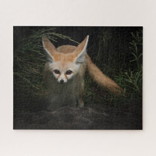 Fennec Fox Puzzle (Horizontal)