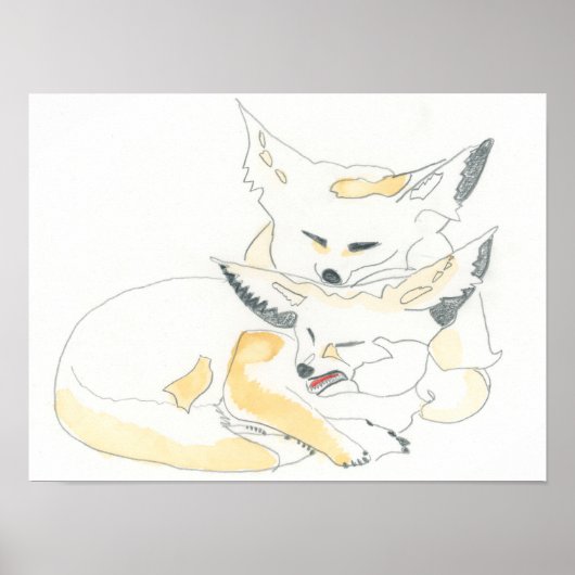 Fennec Foxes Poster (Vorne)