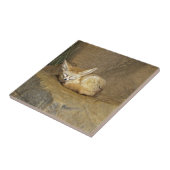 fennec Fuchs Fliese (Seite)