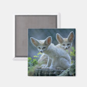 Fennek (Vulpes zerda) W �_stenfuchs, Fennec Magnet (Vorderseite/Rückseite)