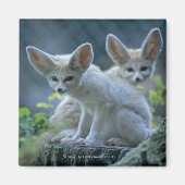 Fennek (Vulpes zerda) W �_stenfuchs, Fennec Magnet (Vorne)