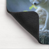 Fennek (Vulpes zerda) W �_stenfuchs, Fennec Mousepad (Ecke)