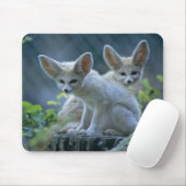 Fennek (Vulpes zerda) W �_stenfuchs, Fennec Mousepad (Mit Mouse)
