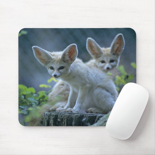 Fennek (Vulpes zerda) W �_stenfuchs, Fennec Mousepad (Mit Mouse)