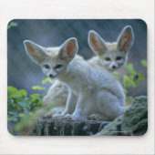 Fennek (Vulpes zerda) W �_stenfuchs, Fennec Mousepad (Vorne)