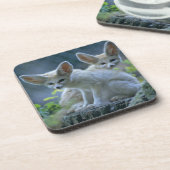 Fennek (Vulpes zerda) W�_stenfuchs, Fennec Untersetzer (Linke Seite)
