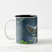 Fennek (Vulpes zerda) W�_stenfuchs, Fennec Zweifarbige Tasse (Links)