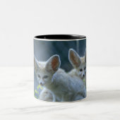 Fennek (Vulpes zerda) W�_stenfuchs, Fennec Zweifarbige Tasse (Mittel)