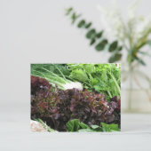 Fennel und Salat Postkarte (Stehend Vorderseite)