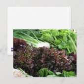 Fennel und Salat Postkarte (Vorne/Hinten)