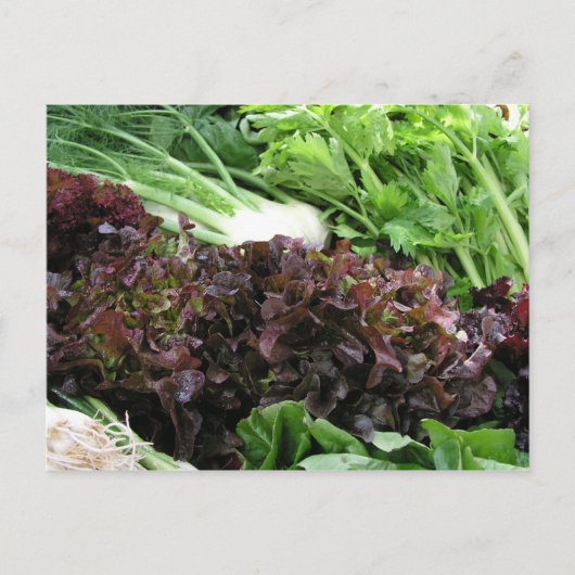 Fennel und Salat Postkarte (Vorderseite)