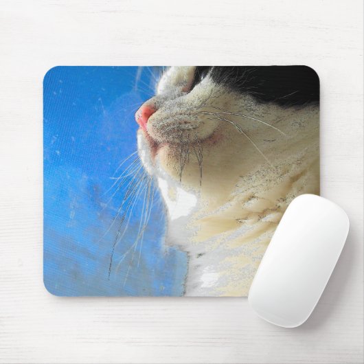 Fenster ausblenden mousepad (Mit Mouse)