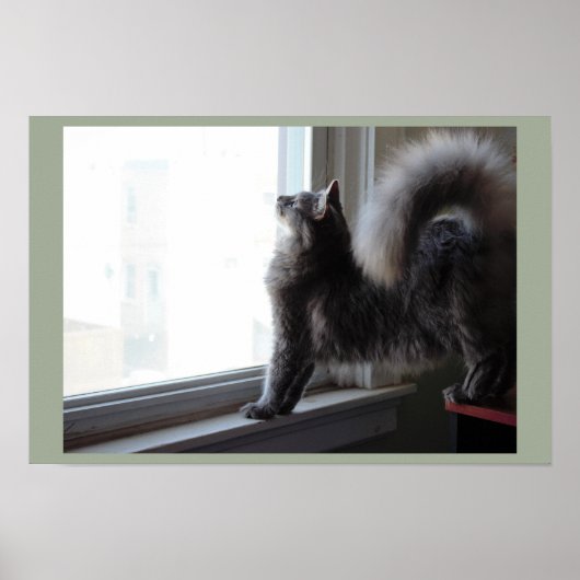 Fenster "Aussehen" Poster (Vorne)