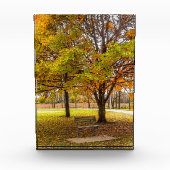Fenster "Autumn View" Fotoblock (Vorderseite)