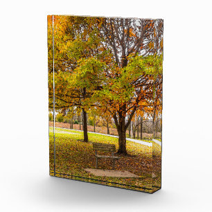 Fenster "Autumn View" Fotoblock