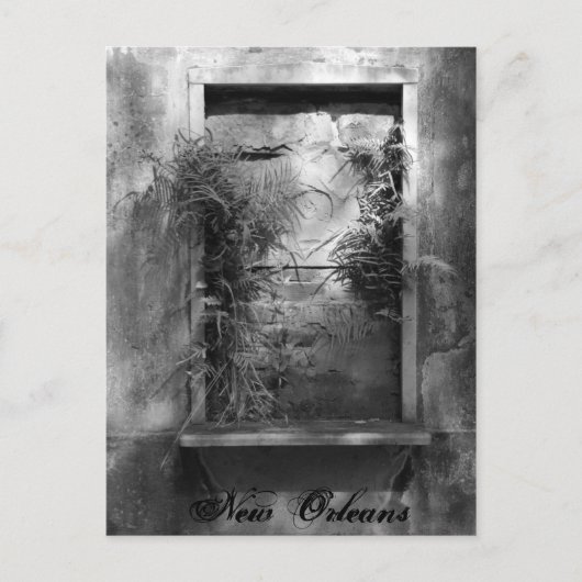 Fenster "Boarden" Postkarte (Vorderseite)