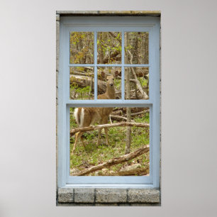 Fenster, das heraus Rotwild-Damhirschkuh-Plakat Poster