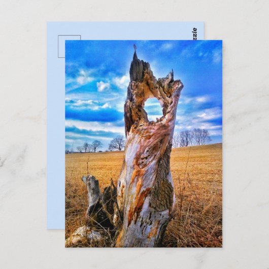 Fenster der Postkarte (Vorne/Hinten)