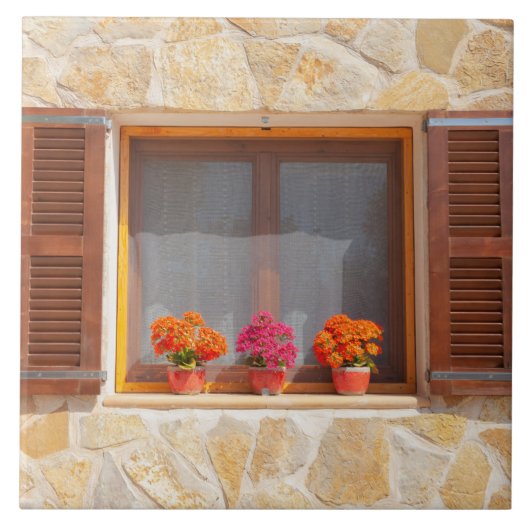 Fenster eines spanischen Finca Fliese (Vorderseite)
