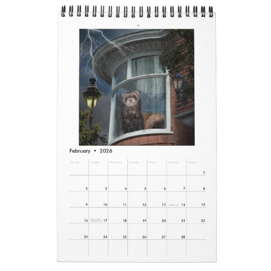 Fenster-Frettchen-Kalender Kalender (Feb 2026)
