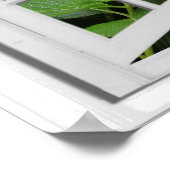 Fenster "Hydrangea Garden View Imitats" Poster (Ecke)