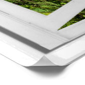 Fenster "Imitate öffnen" Poster (Ecke)