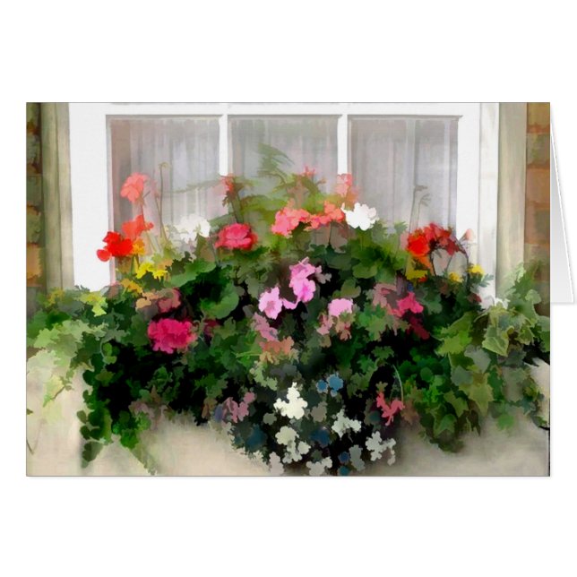 Fenster-Kasten-Blumen (Vorderseite (Horizontal))